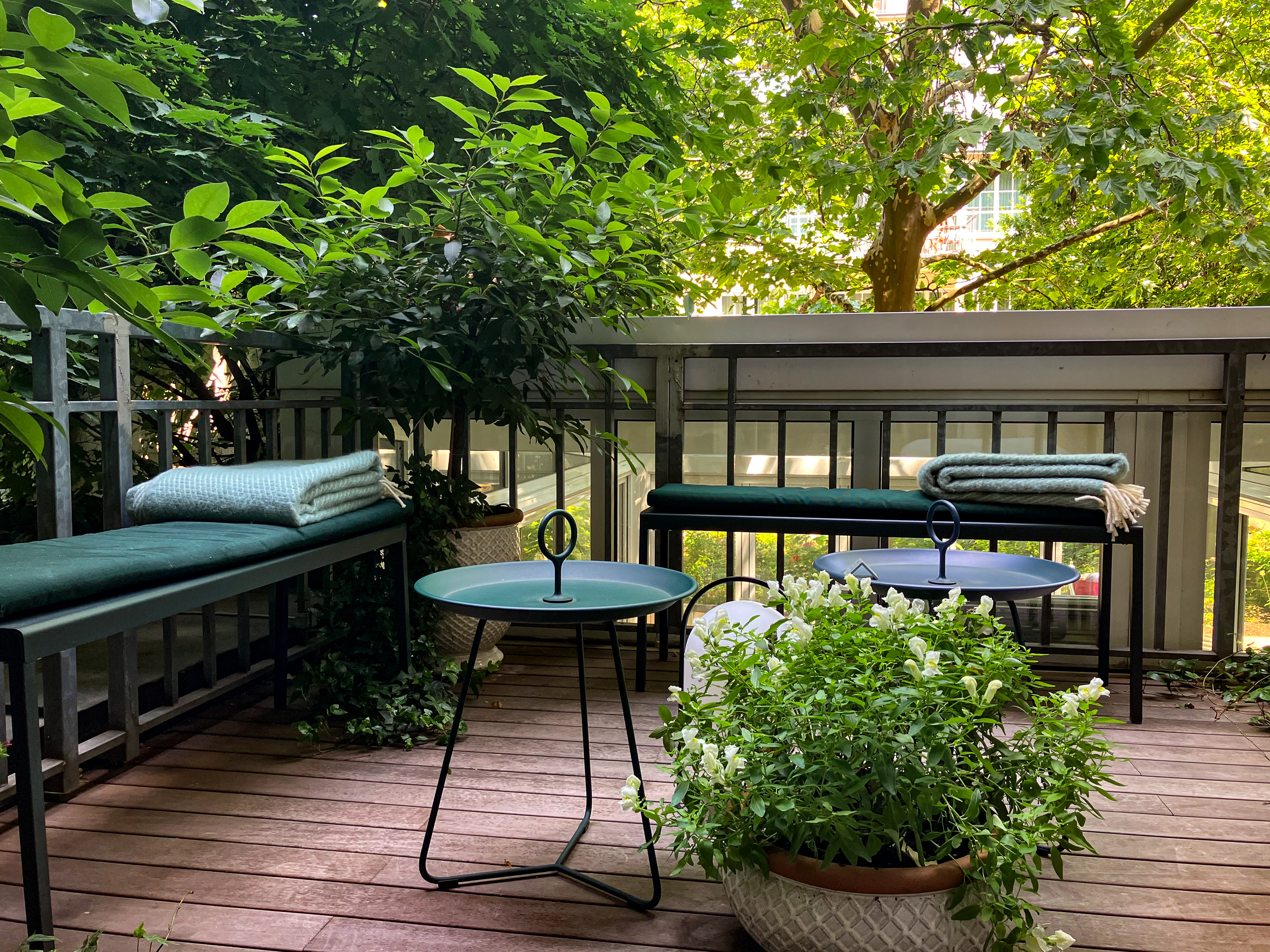 Frühstücksraum mit Gartenblick im Wintergarten